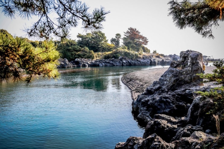  Soesokkak Estuary in Jeju Island