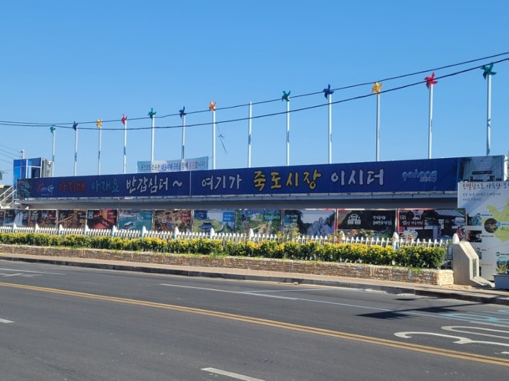 포항가성비맛집 죽도시장 경북보리밥 강추드려요! 포항가성비맛집 죽도시장 경북보리밥 강추드려요!