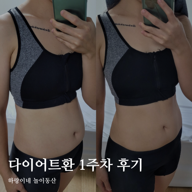  신부관리 웨딩 다이어트 환 1주차 후기