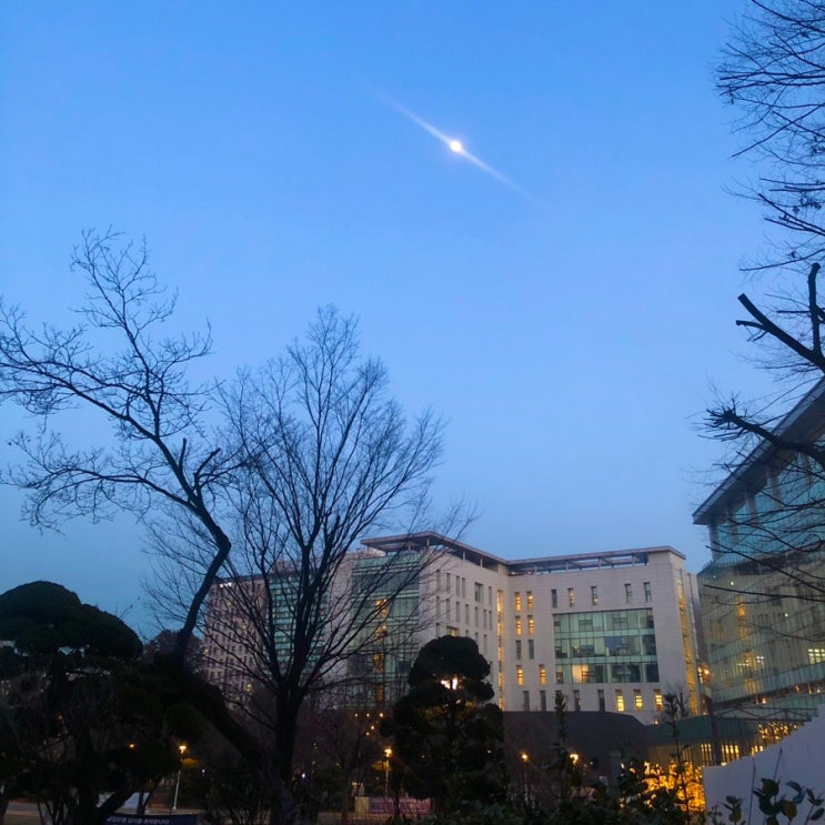  HUFS 한국외대 기숙사 국제학사 생활 정보 및 꿀팁 (from. 전직 국학러)