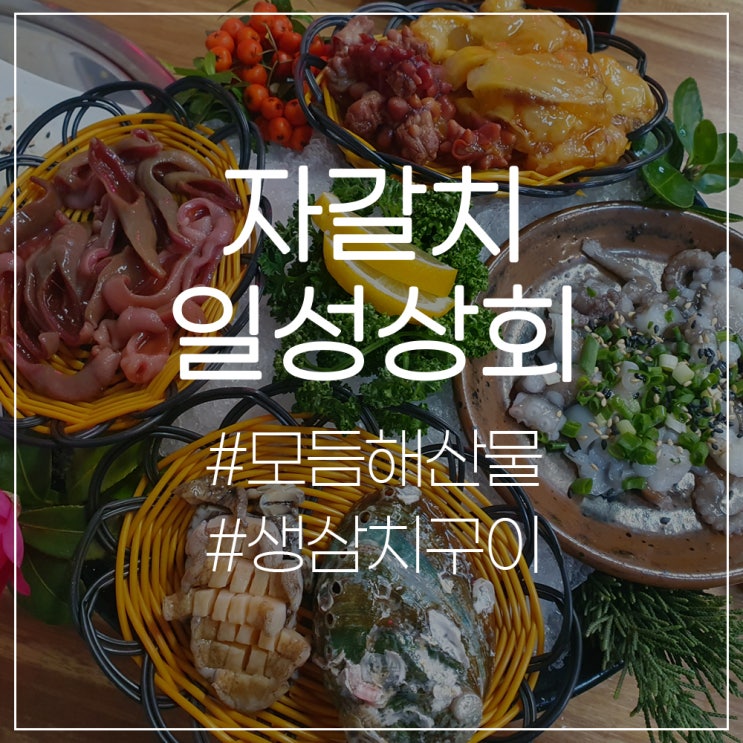  부산 남산동 자갈치 일성상회 134호 모듬해산물&생삼치구이 방문 솔직리뷰