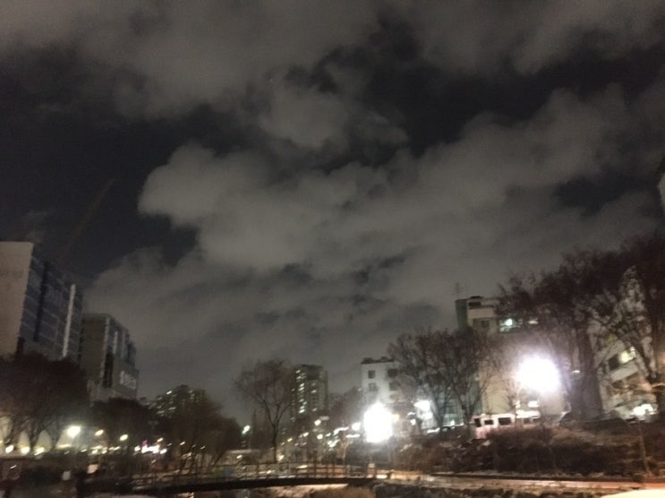  50분달리기 도전 1주차 -1 / 플릿러너