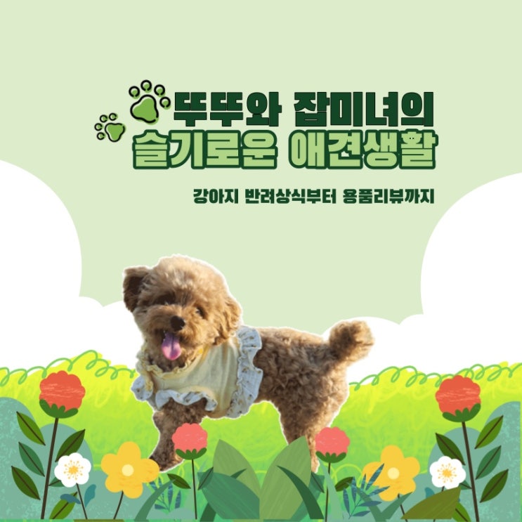  뚜뚜 잡미녀 슬기로운 애견생활 소개해요