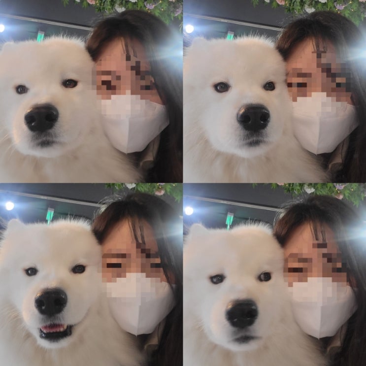  [벼루일기] 겨울의 입구에서 ️: 겨울이 머무는집, 연말파티, 블로그 리듬