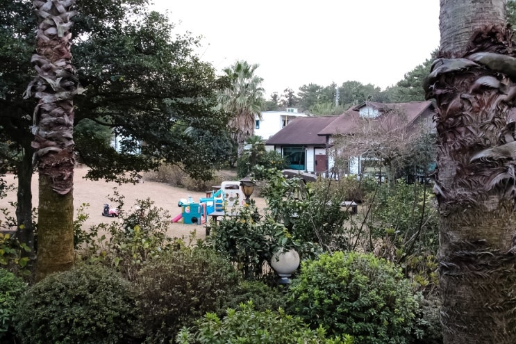  제주여행 제주 가족 펜션 찾는다면 조용한 제주 동쪽 숙소 비자림리조트