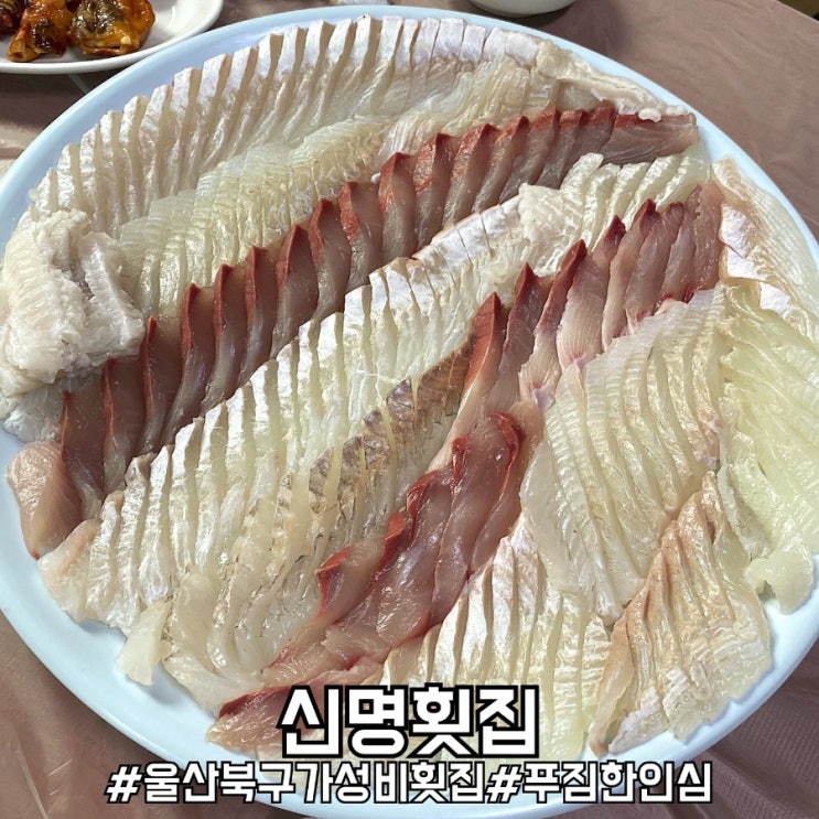  울산 북구 가성비 짱 제철 회 맛집 신명횟집!
