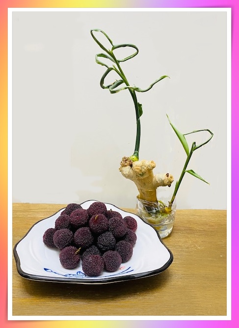  [생강꽃씨네 맛나는 향기 22일째]