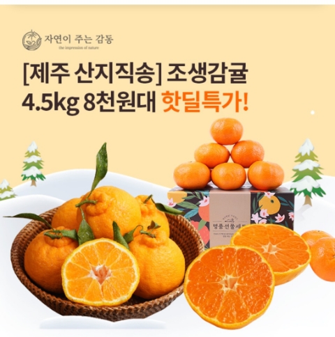  12월 15일 OK캐쉬백 오퀴즈 자연이주는감동 조생감귤 정답