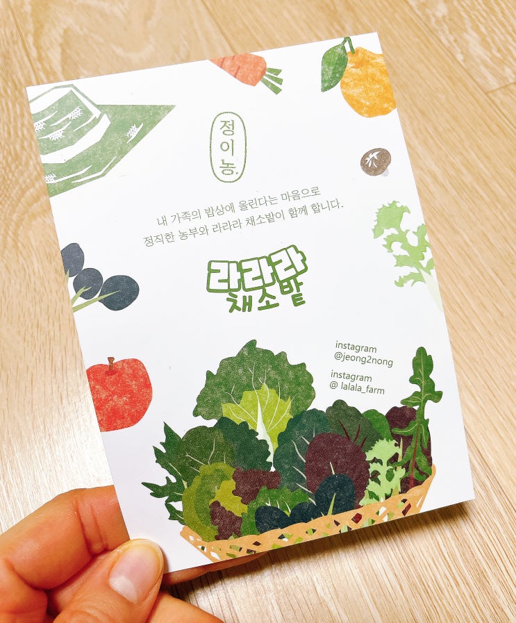  라라라채소밭 쌈채소 신선하고 푸짐한 산지직송 특수야채