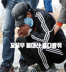 꼬꼬무 봉대산 불다람쥐 연쇄 방화 범인 전말 17년 동안 96회 방화 신고포상금 3억 수령자 꼬리에 꼬리를 무는 그날이야기 꼬꼬무 봉대산 불다람쥐 연쇄 방화 범인 전말 17년 동안 96회 방화 신고포상금 3억 수령자 꼬리에 꼬리를 무는 그날이야기