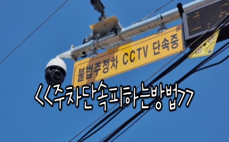  [꿀팁] 혼자만 아세요! 주차단속 피하는 방법!!!