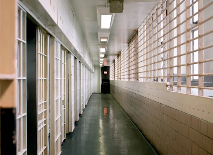 상원 조사에서 일부 연방 교도소 직원들이 규율 없이 여성 수감자들을 학대한 것을 발견했습니다.