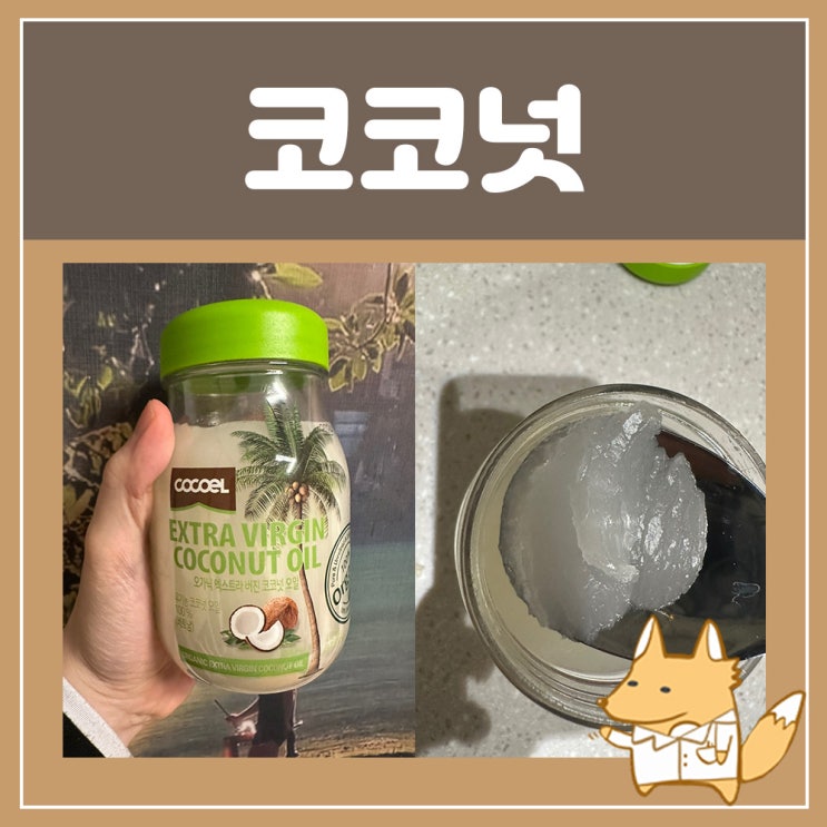  코코넛오일 효능 엑스트라버진 코코넛오일 사용법 건강한 오일