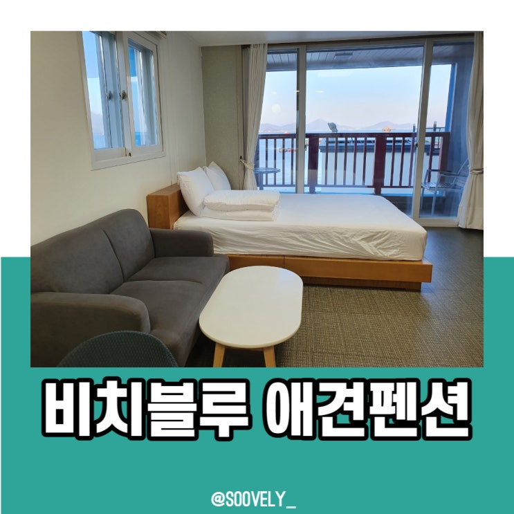  거제도애견동반펜션 비치블루애견펜션 강아지 매미성 여행