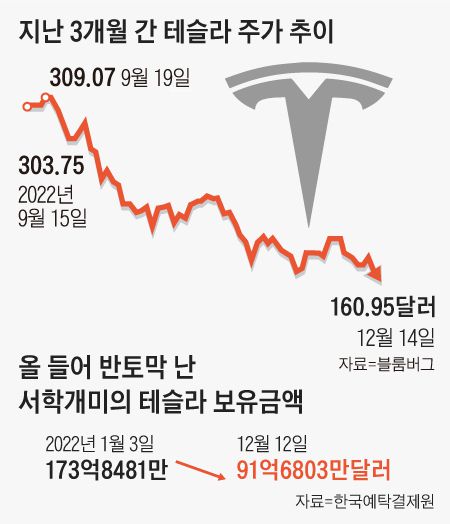 회장님이 파랑새를 쫓아가자, 개미들은 테슬라를 놔버렸다