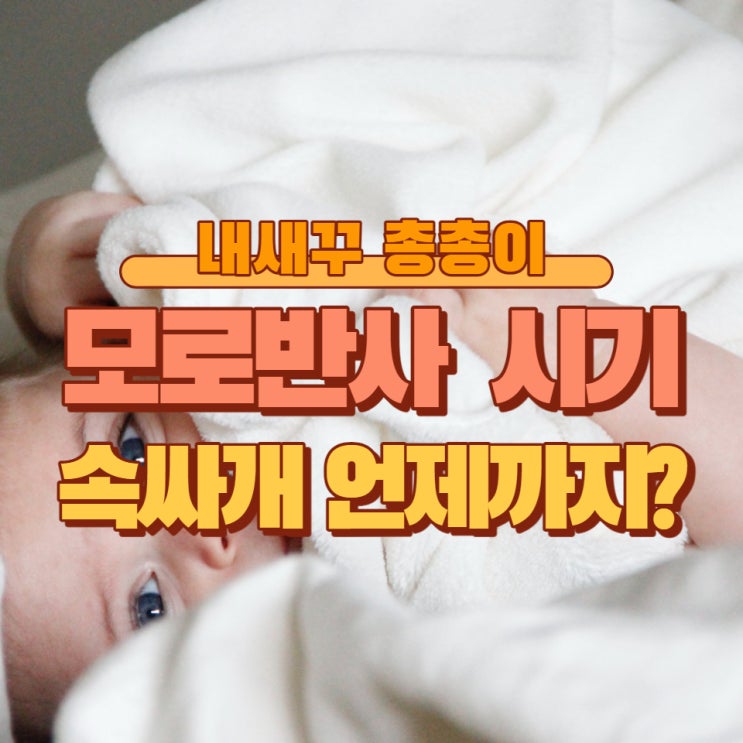  아기 신생아 반사 행동, 모로반사 시기, 속싸개 언제까지?