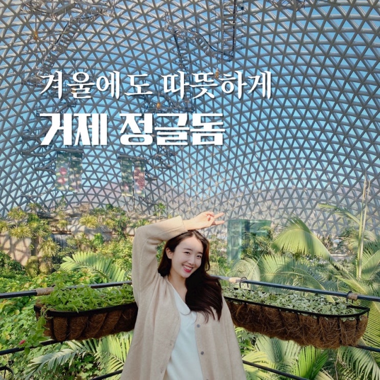  거제도 겨울여행은 거제 식물원 정글돔에서! 따뜻해서 더 좋아