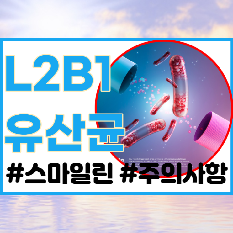 변비균 많은 장엔  L2B1유산균!