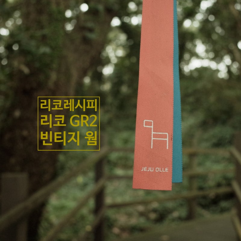 리코 GR2 리코레시피 : 빈티지 웜 레시피 : 내 스타일은 아닌듯;;;