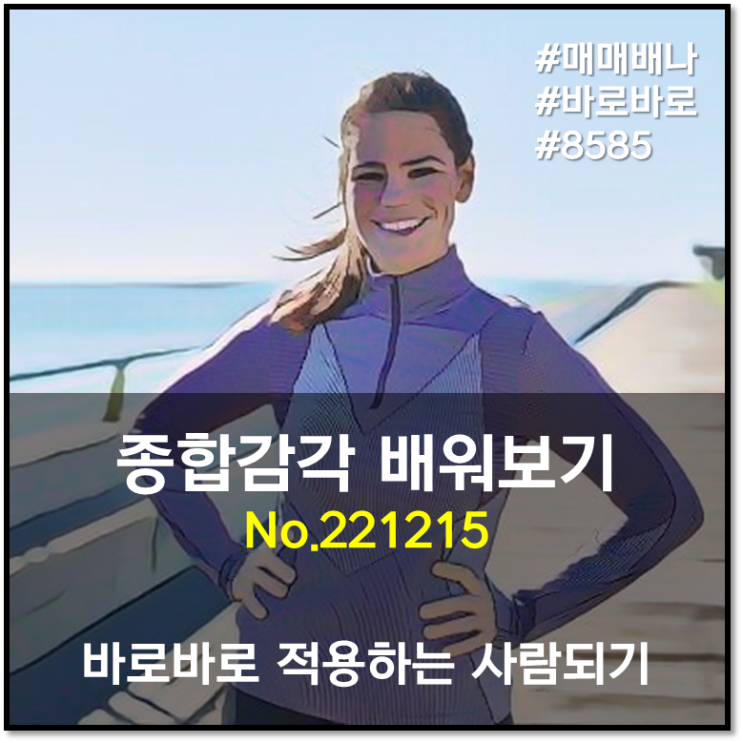 바로바로 종합감각 배워보기 (221215)