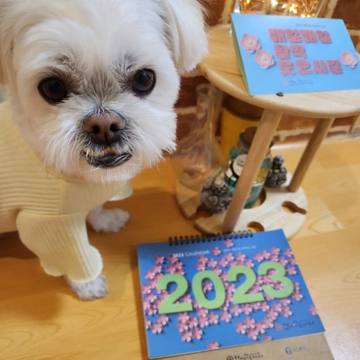 2023년 신년달력 2023년 신년달력