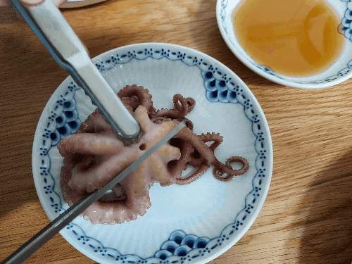  블로그 앱을 활용한 움직이는 사진(움짤) GIF 간단하게 만드는 방법