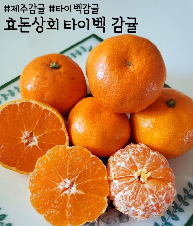  타이벡 감귤, 제주 효돈상회 산지 직송 당도 높은 귤