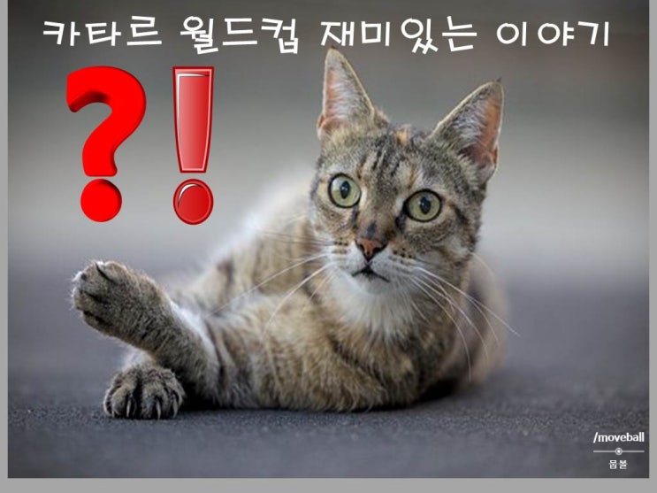  2022 카타르 월드컵 재미있는 이야기 및 이모저모 2탄