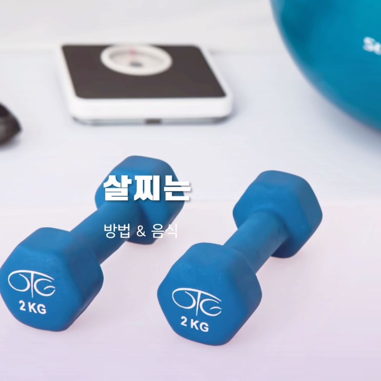 살찌는 방법 및 도움되는 음식 정리 살찌는 방법 및 도움되는 음식 정리