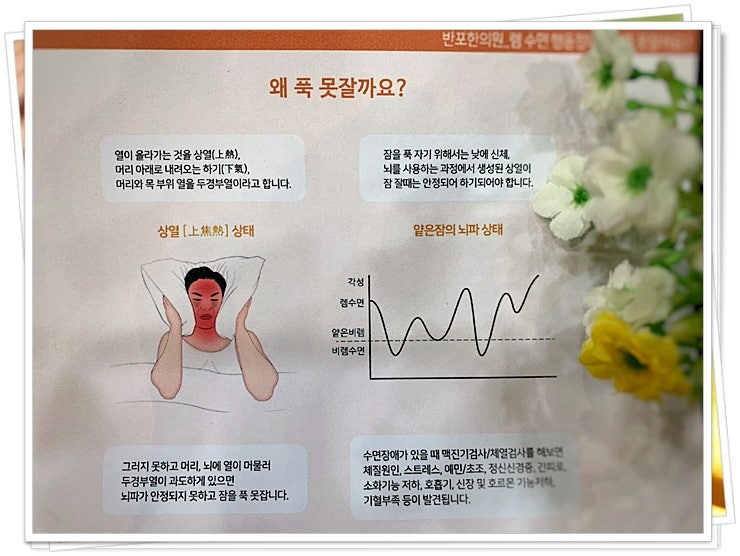 성인야경증 성인에게 나타나는 수면장애
