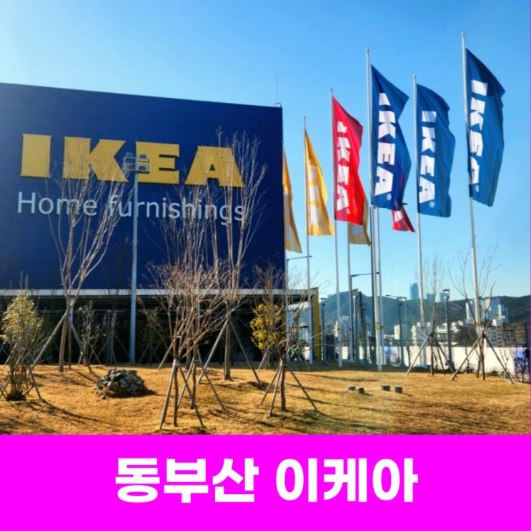  동부산 이케아 영업시간, 주차정보, 인형, 식당가까지 한 번에 확인!
