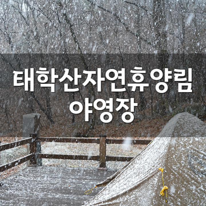  천안 태학산자연휴양림 오토캠핑장 한겨울 솔로 캠핑 니모아톰 1P