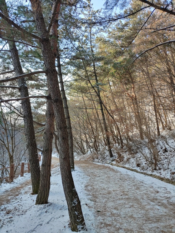  기억 남는 여행 : 계룡산,수통골 입산통제