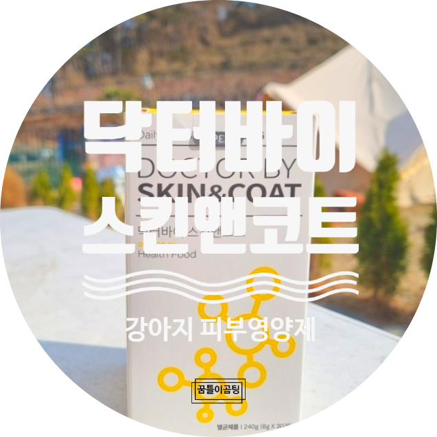  건조한 겨울 반려견 피부및 건강 관리하기 강아지 피부영양제 "닥터바이 스킨앤코트"