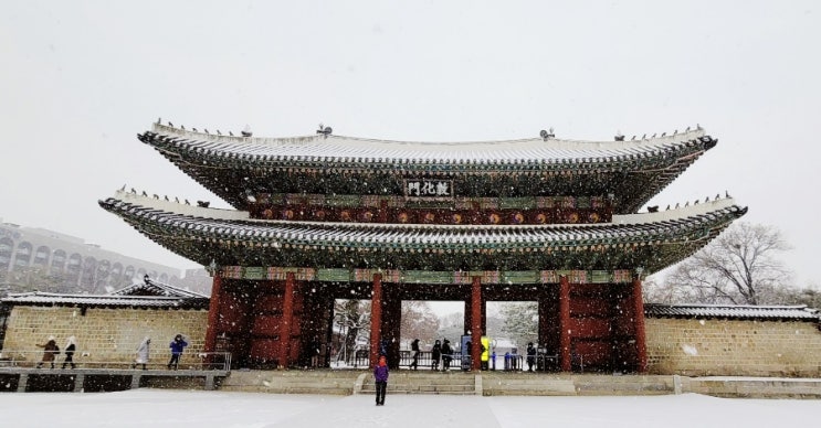  눈이 많이 내린 2022년 겨울의 어느날:-)