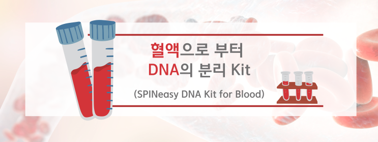 혈액으로부터 DNA 추출 (Blood DNA extraction Kit)