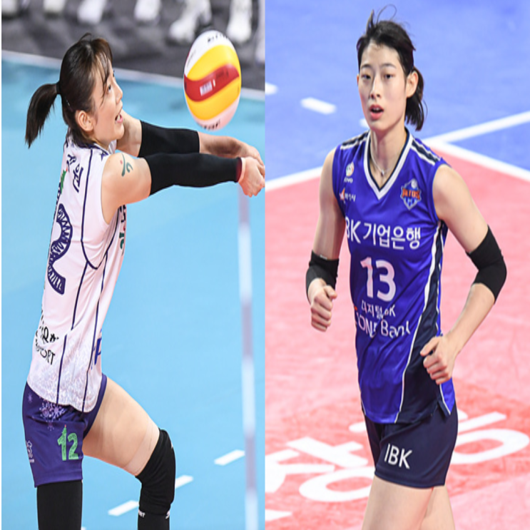 도로공사 IBK기업은행, V리그 여자배구 12월 16일 경기예상(도공IBK, IBK도공, 카타리나 박정아 정대영 산타나 표승주 김희진)