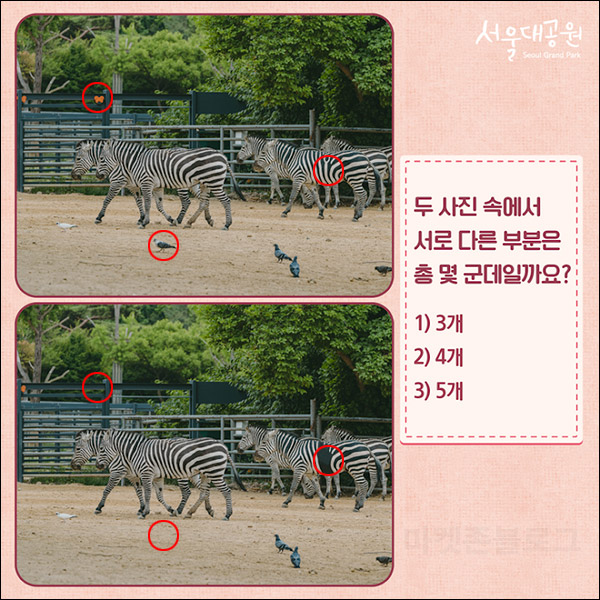서울대공원 틀린그림찾기 이벤트(커피 5천원 200명)추첨,간단 서울대공원 틀린그림찾기 이벤트(커피 5천원 200명)추첨,간단
