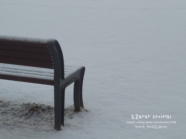  감사일기 221215