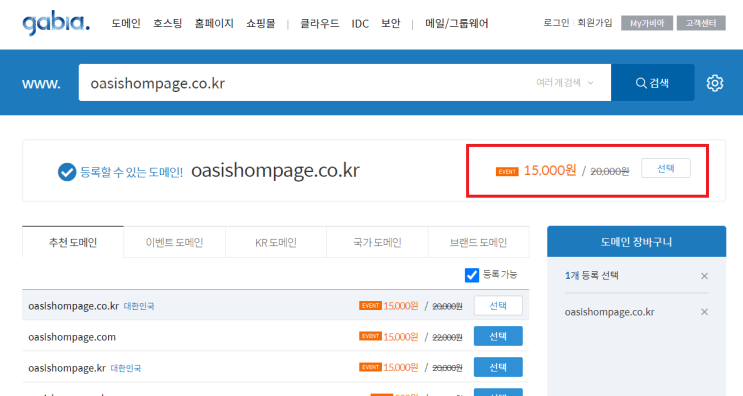  [ 홈페이지제작 부대비용 알아보기 ]_제작비용 외의 비용 (도메인 비용)