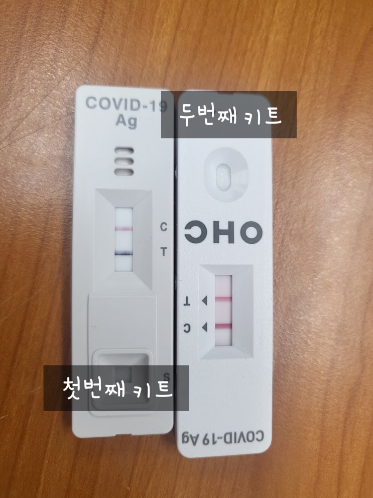  일상/코로나 확진 1일차 증상 / 자가격리 기간