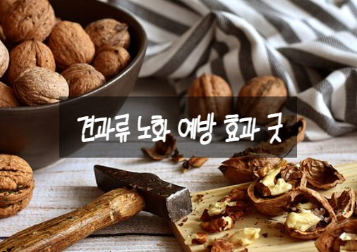  견과류 노화 예방 효과 굿