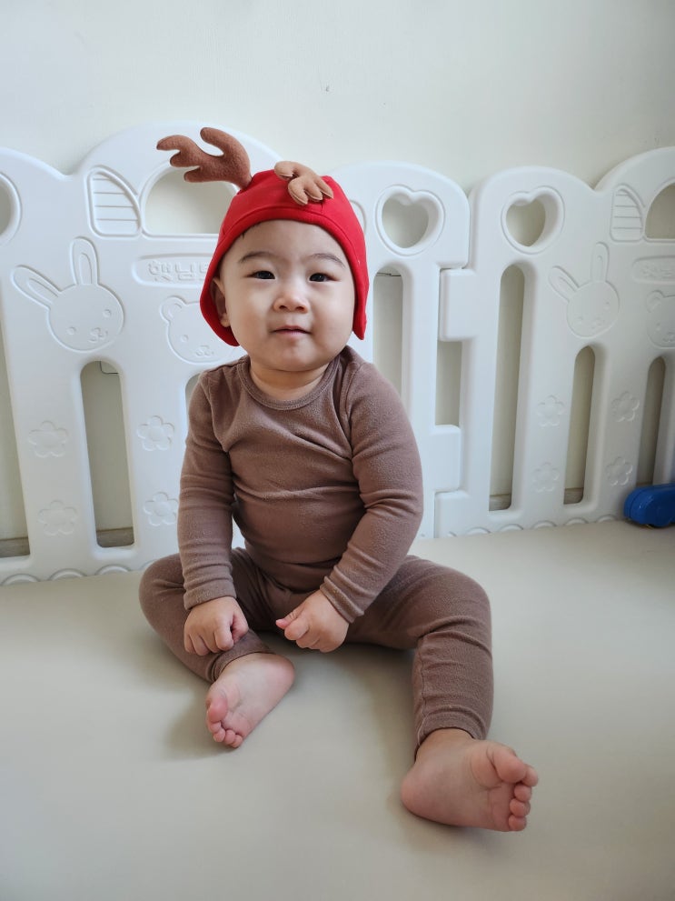  아기 이유식 배냇밀에서 새로 나온 아기 간식을 소개해요!