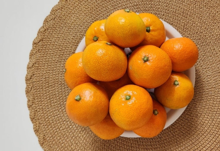 지운이네 제주감귤 인생귤 찾았다! 존맛 노지감귤 10kg 지운이네 제주감귤 인생귤 찾았다! 존맛 노지감귤 10kg