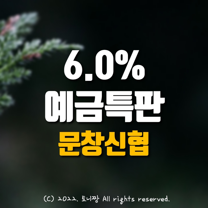 예금특판 연6.0%, 3~23개월 조건없이. 문창신협