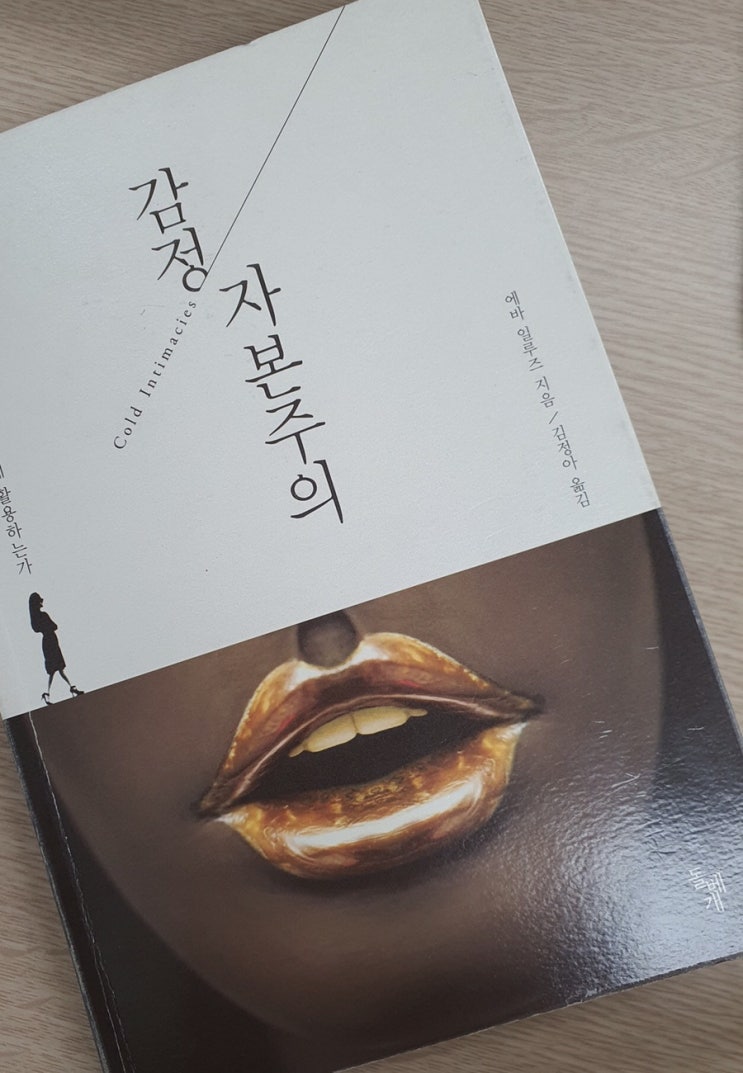  속이려면 제대로 속이란 말이야! <감정 자본주의>