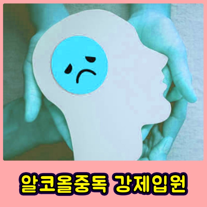 알코올중독 강제입원 체계적인 곳