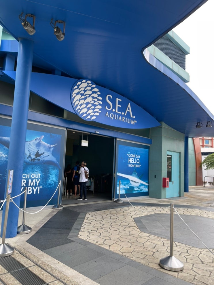  싱가포르 가볼만한곳 센토사섬 아쿠아리움 즐기기 & 티켓구매포함 S.E.A. Aquarium