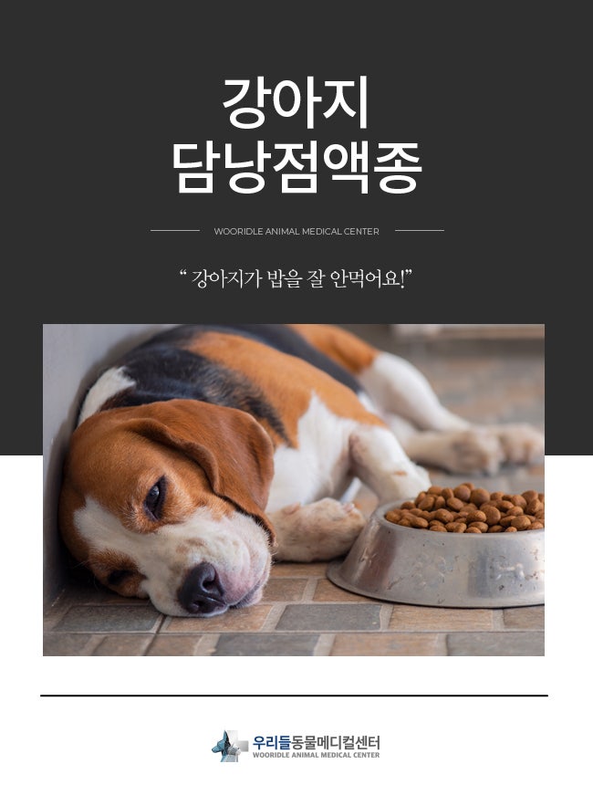 개 담낭절제술, 개 담낭절제술 (울산 이승진 동물병원) 1