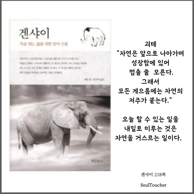 『겐샤이』:지금에게으르지않는것